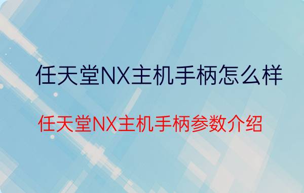 任天堂NX主机手柄怎么样 任天堂NX主机手柄参数介绍